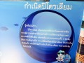 ร่วมกับ ปตท. จัดกิจกรรมโครงการพลังงานสัญจร Image 33